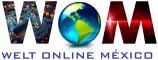 Welt Online Mexico